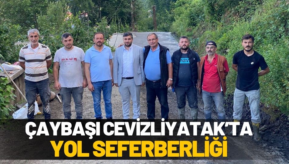 Çaybaşı Cevizliyatak Mahallesi'nde Beton Yol Çalışmaları Başladı