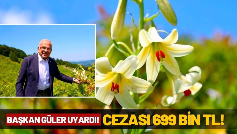 AKKUŞ ZAMBAĞI'NI KOPARMANIN CEZASI 699 BİN TL